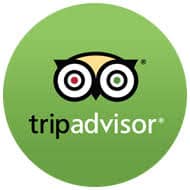 trip advisor logo