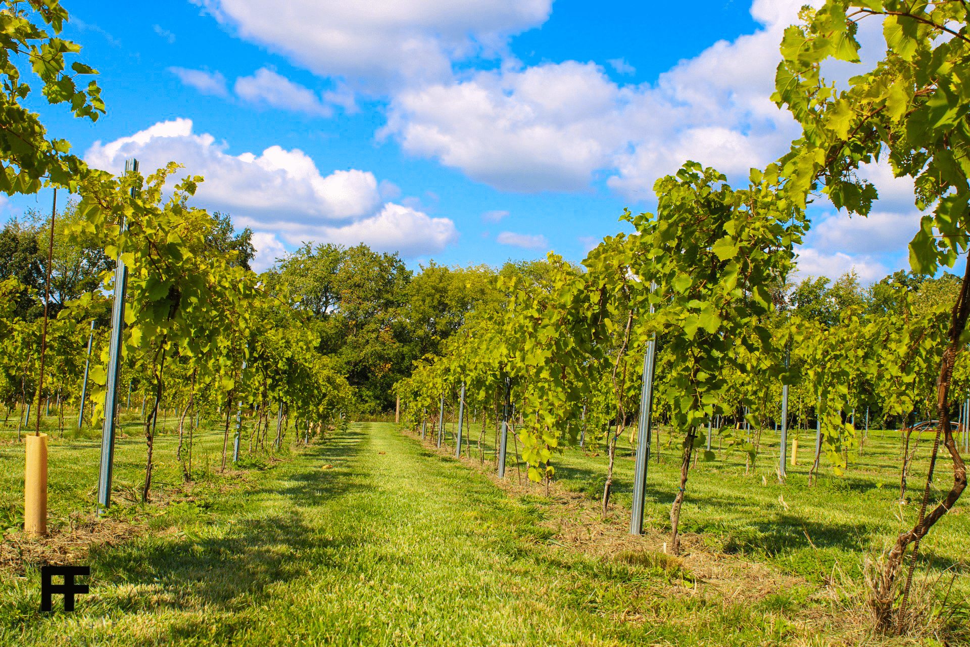 Single Event Rental Page Timber Hill Winery