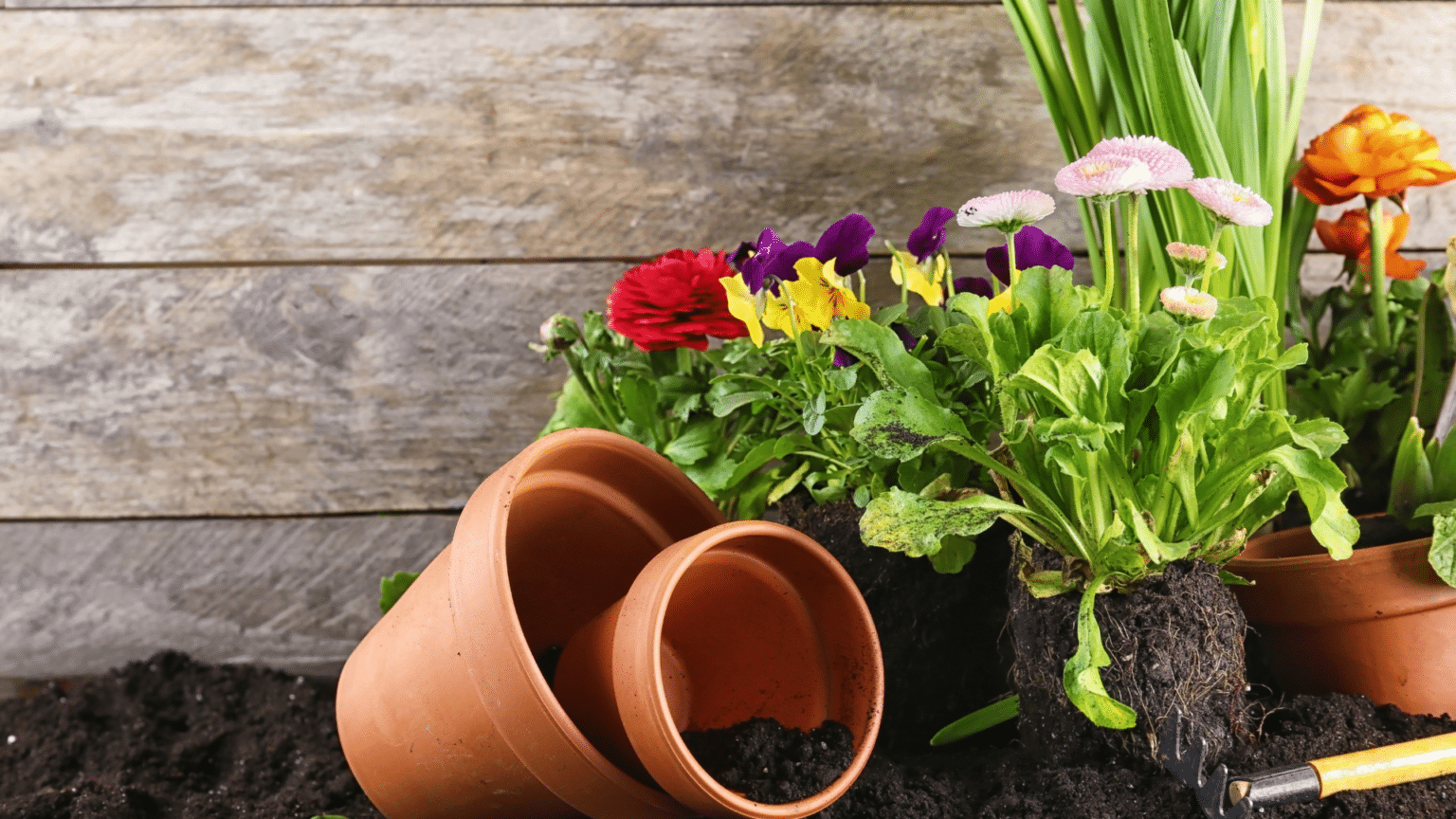 Annuals Flower Planting | Timber Hill Winery