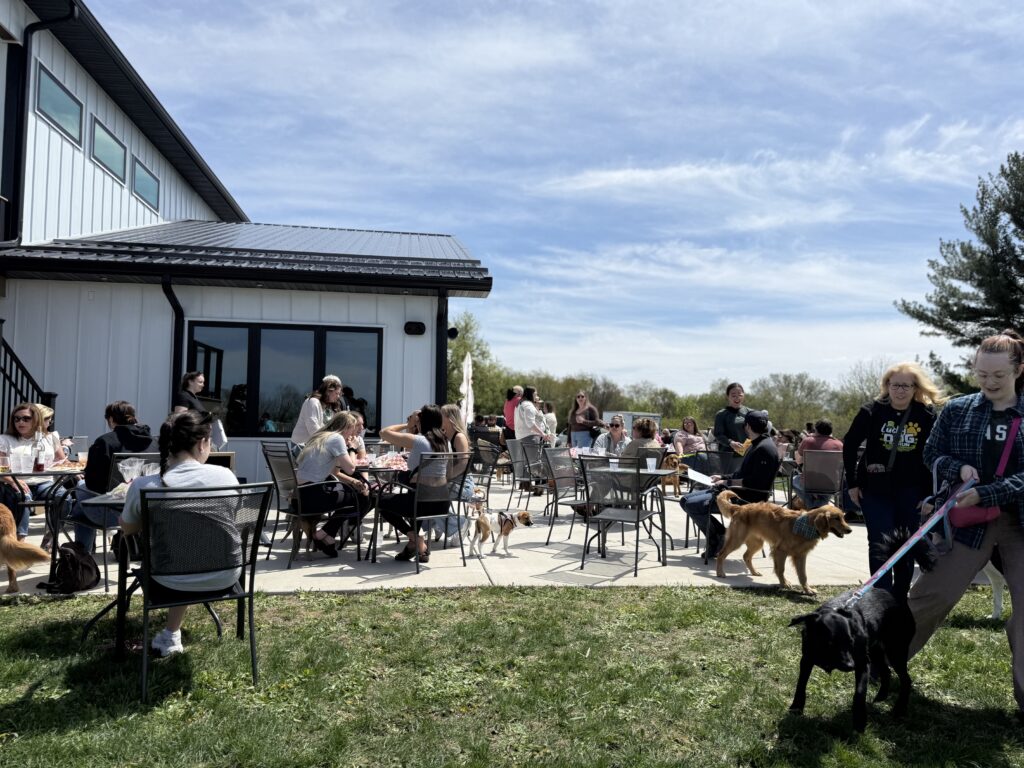 dog mom's day at timber hill winery