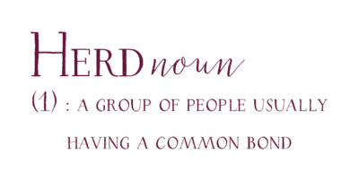 herd definition herd definition